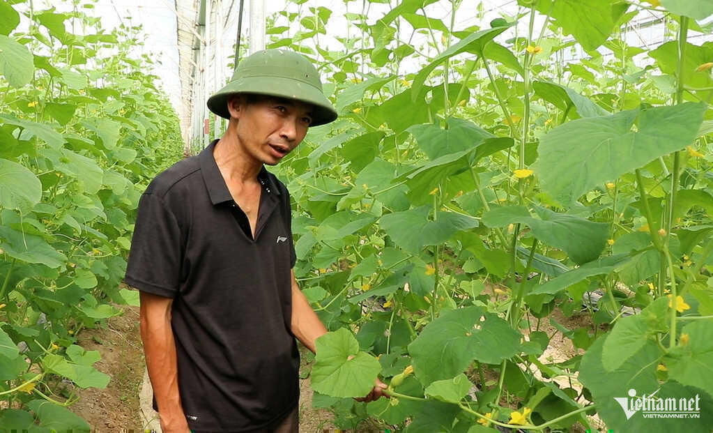 Bỏ việc lương 50 triệu ở Hà Nội, kỹ sư chi 10 tỷ về quê làm điều ít ai dám