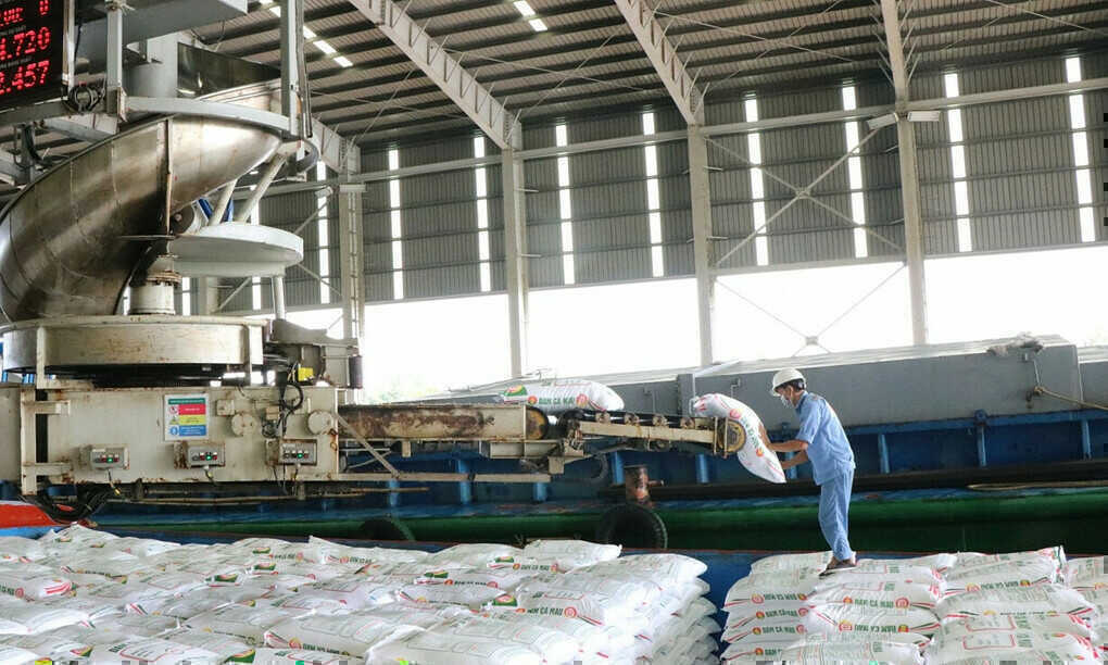 Xuất khẩu phân bón Việt tăng đột biến