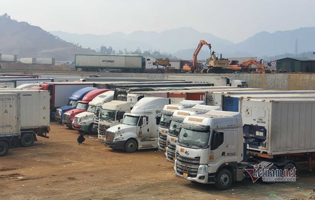 Thiếu tài xế container, chuỗi vận tải đối mặt nguy cơ đứt gãy