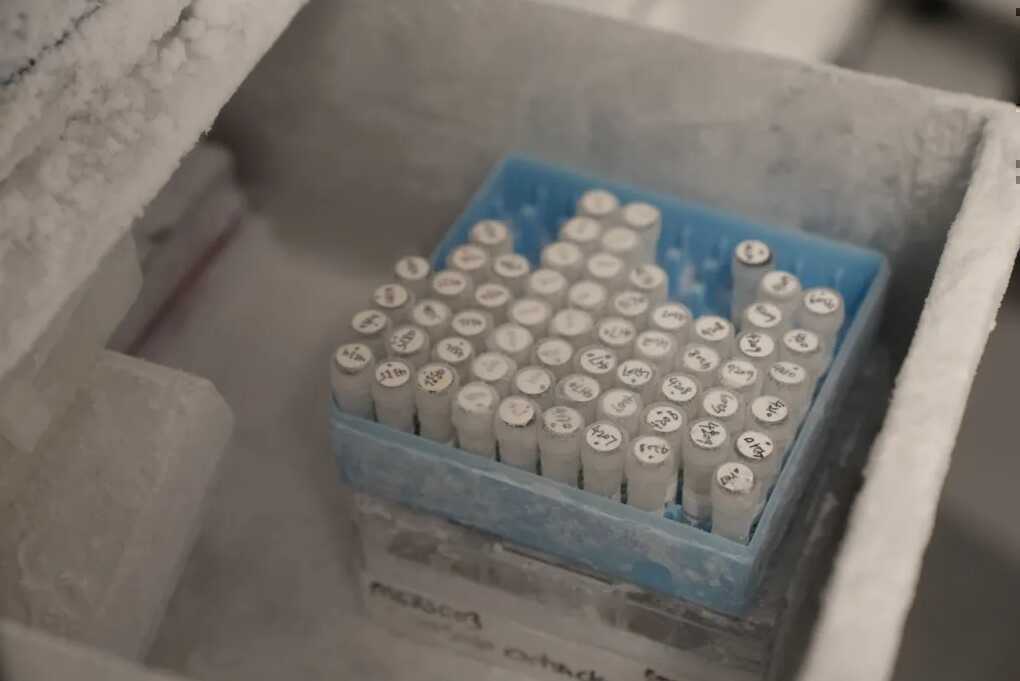 Anh thử nghiệm vaccine ngừa Ebola mới