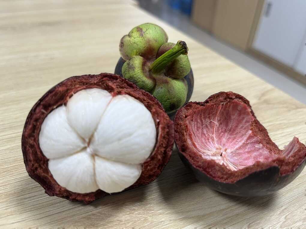 Mùa hè ăn măng cụt thay rau được không?
