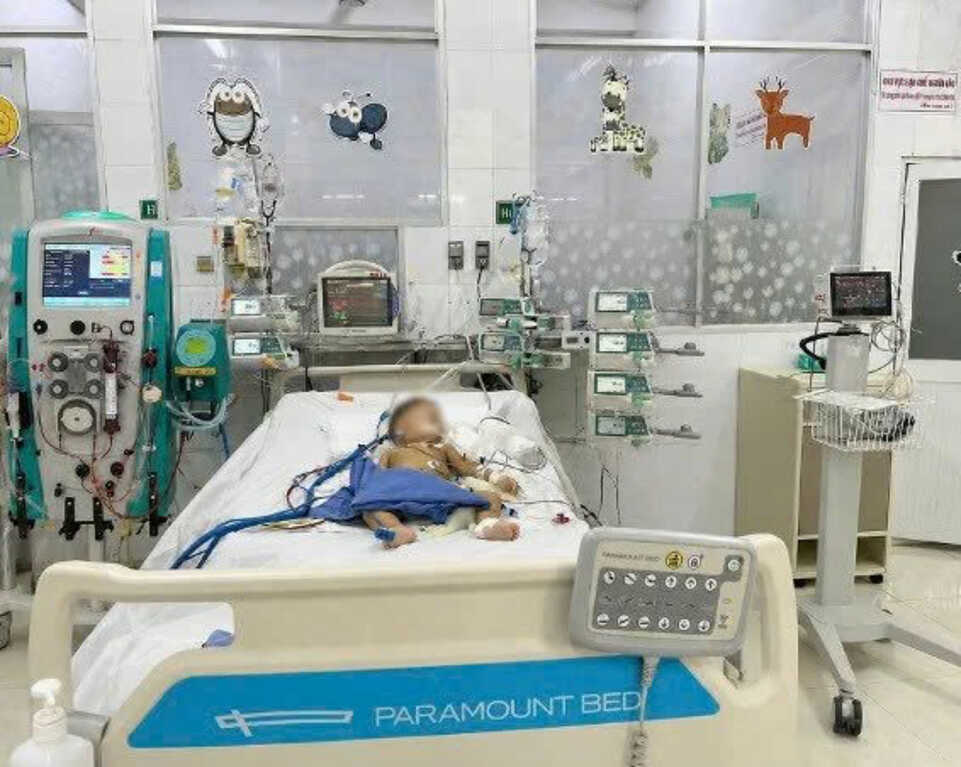 44 giờ lọc máu giành sự sống cho bé trai 14 tháng tuổi bị ong đốt 20 vết