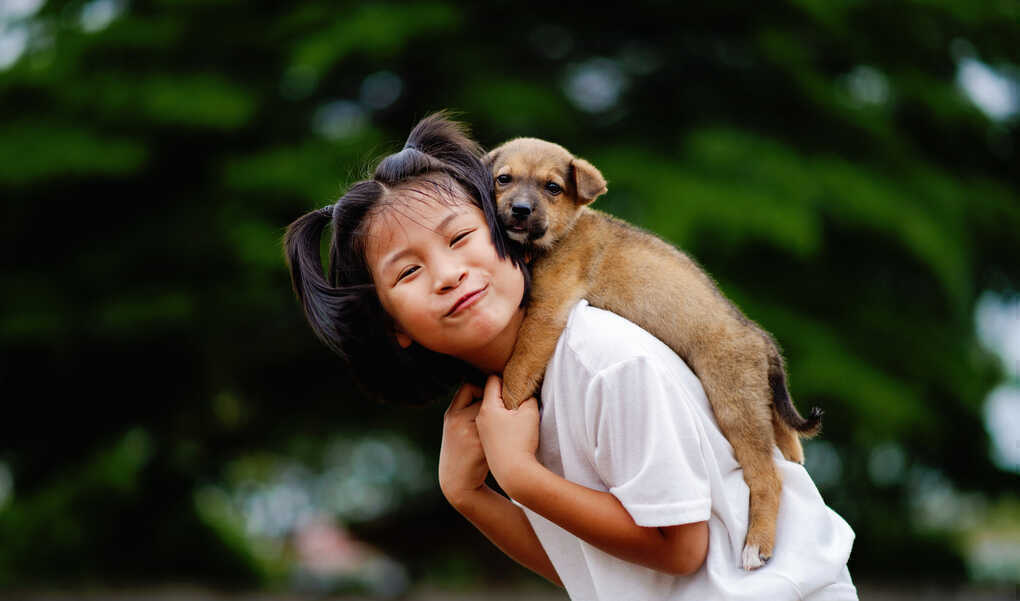 Nhiễm bệnh từ chó do 4 thói quen thường ngày