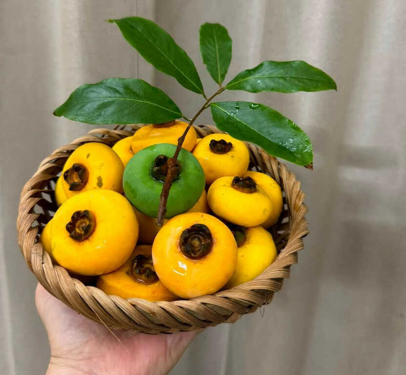Loại quả gắn với tuổi thơ vào mùa nhưng nhóm người này không nên sử dụng