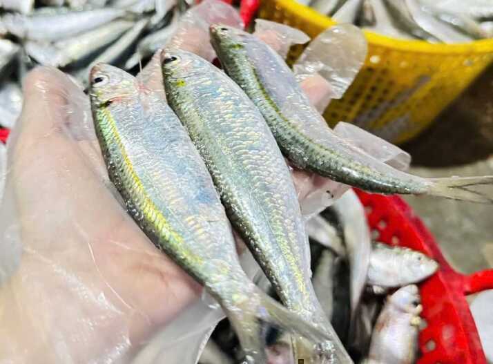 2 lý do bạn nên ăn cá nhỏ