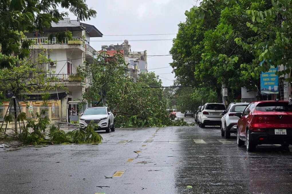 Bão Maysak đổ bộ vào Móng Cái